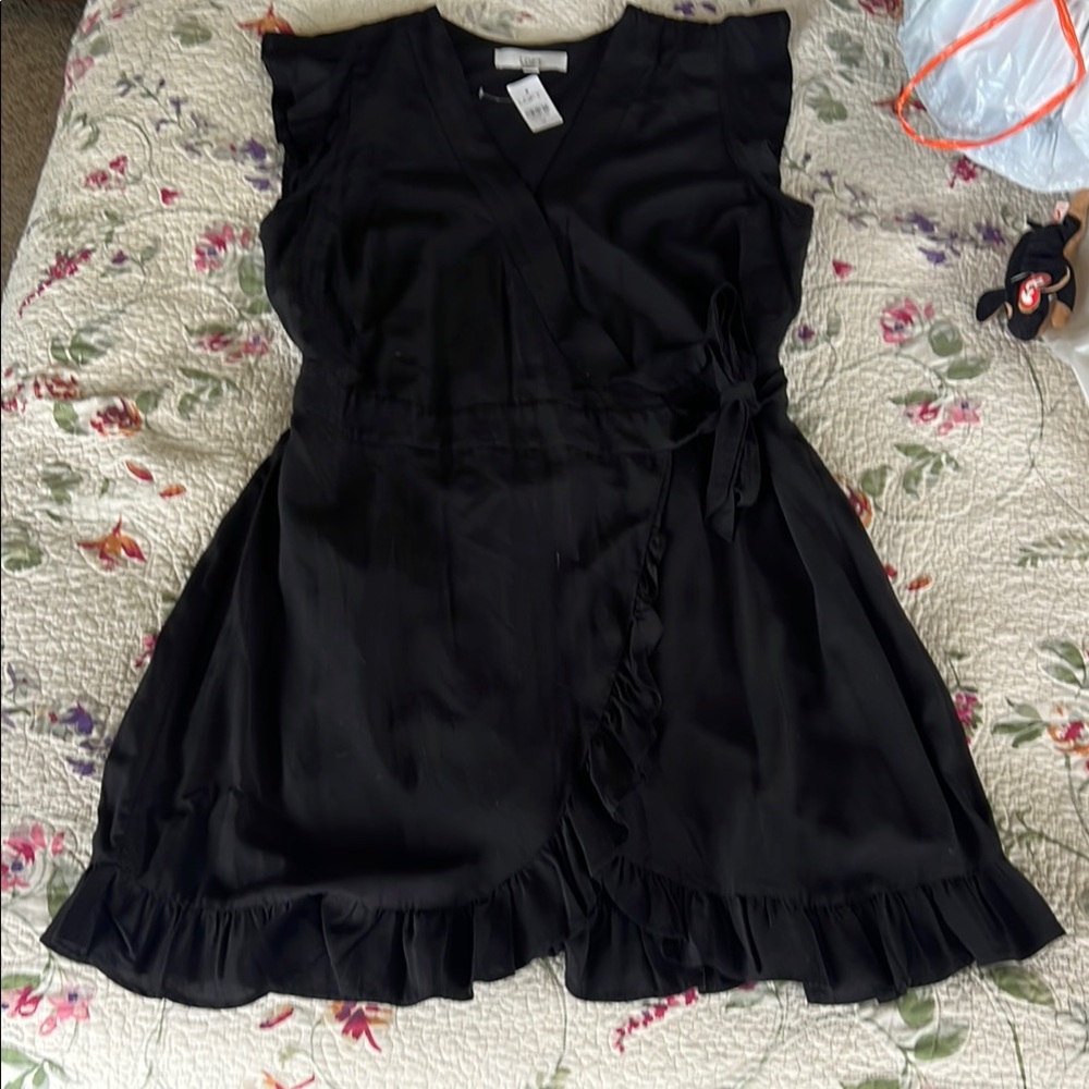 Elegant Black  Dress Loft